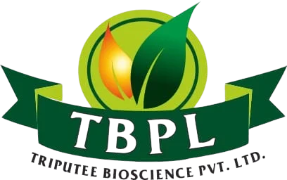 TBPL